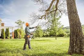 Best Tree Removal Services  in Lus Valley Marinwood, CA